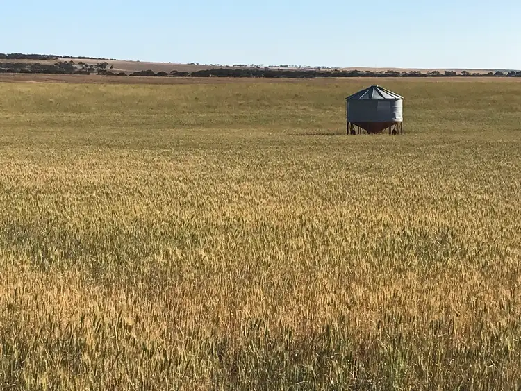 Fourth view of Homely rural property listing, 663 Lock-Darke Peak Road, Lock SA 5633