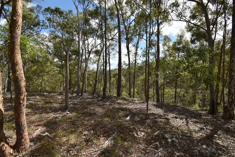 Fourth view of Homely land listing, 4 Premier Terrace, South Bingera QLD 4670