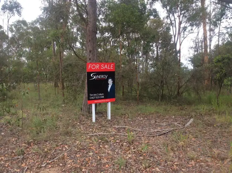 Fifth view of Homely land listing, 4 Premier Terrace, South Bingera QLD 4670