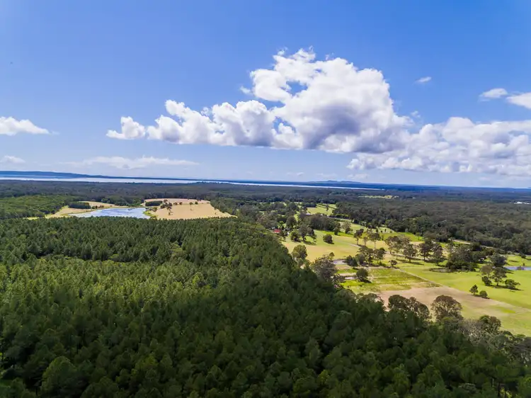 Sixth view of Homely land listing, 990 Cootharaba Road, Cootharaba QLD 4565