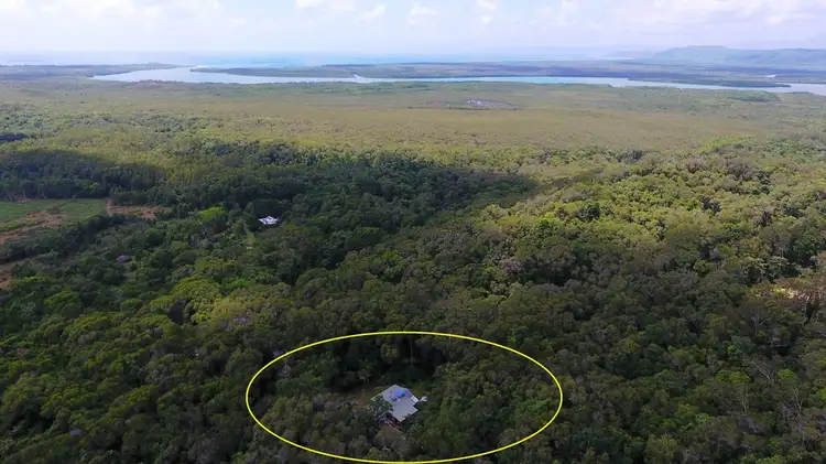 Third view of Homely house listing, 841 Cape Tribulation Road, Daintree QLD 4873