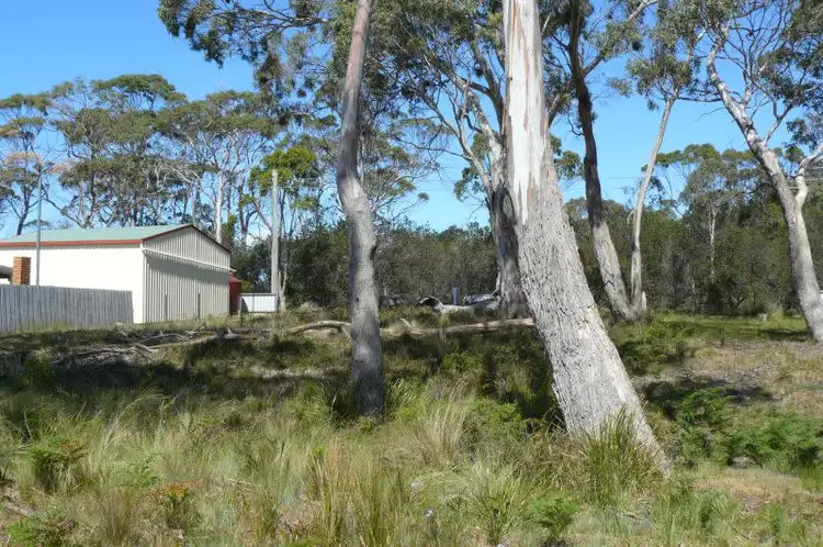 Seventh view of Homely other listing, 115 Sloping Main Drive, Sloping Main TAS 7186