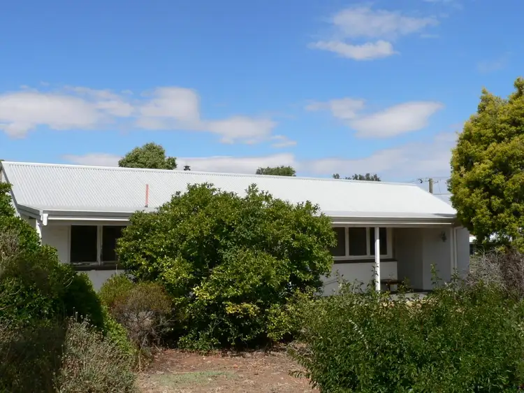 Main view of Homely house listing, 19 Vanzuilecom Street, Kojonup WA 6395