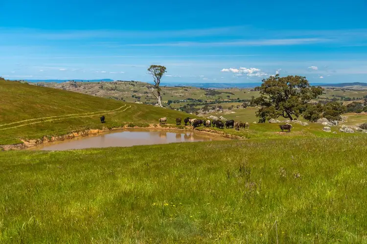 Sixth view of Homely land listing, 410 Tooborac-Baynton Rd, Tooborac VIC 3522