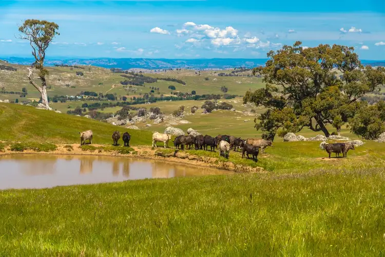 Seventh view of Homely land listing, 410 Tooborac-Baynton Rd, Tooborac VIC 3522