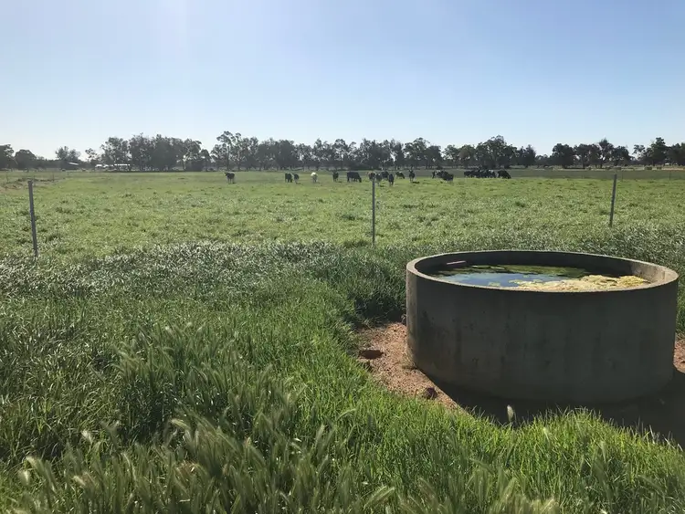 Seventh view of Homely rural property listing, Lot 131 Herbert Road, Harvey WA 6220