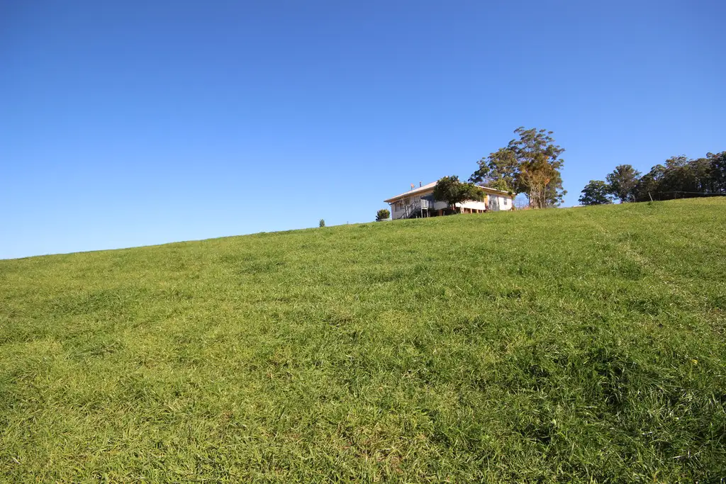 Main view of Homely rural property listing, 126 Eastern Boundary Road, Bellangry NSW 2446