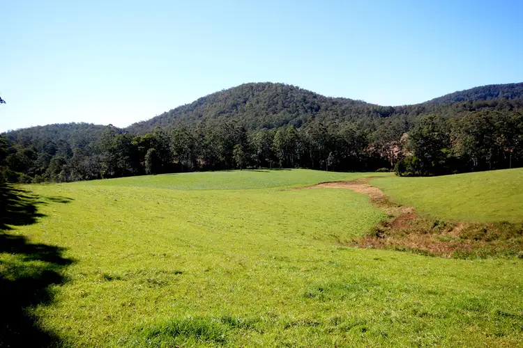 Fourth view of Homely rural property listing, 126 Eastern Boundary Road, Bellangry NSW 2446