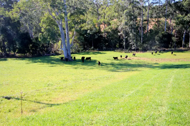 Fifth view of Homely rural property listing, 126 Eastern Boundary Road, Bellangry NSW 2446