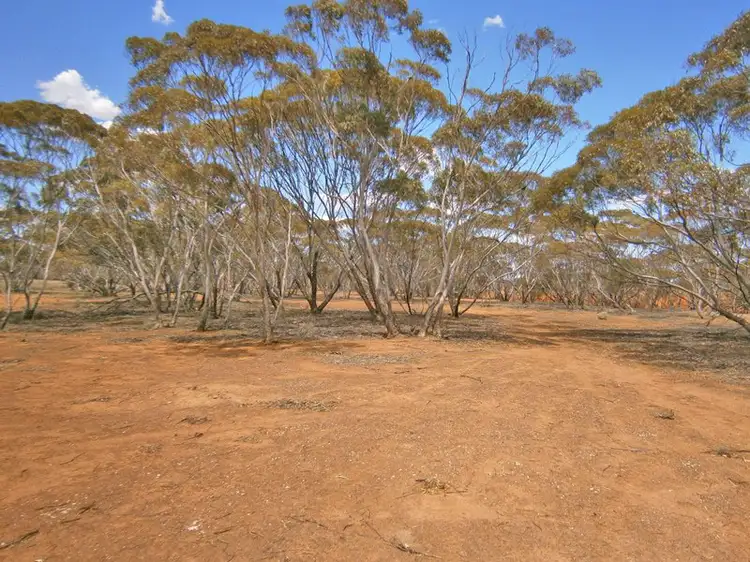 Sixth view of Homely rural property listing, Lot 2 Angle Road, Sutherlands SA 5374