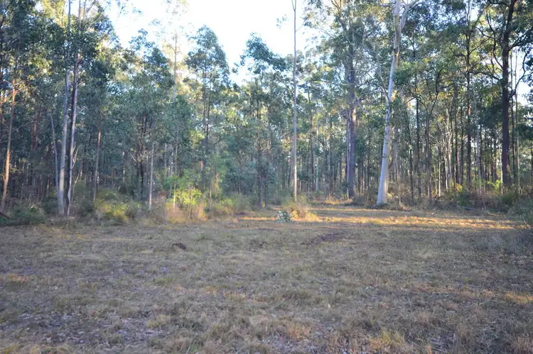 Fifth view of Homely rural property listing, 342 Bathurst Street, Sawyers Gully NSW 2326