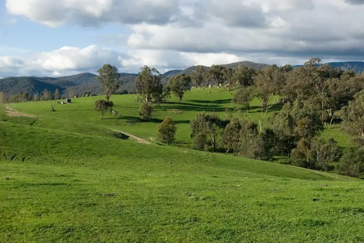 Fourth view of Homely rural property listing, 108 Pini Lane, Mudgegonga VIC 3737