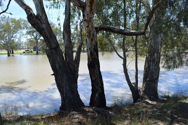 Fourth view of Homely land listing, Lot 1 Pomona Road, Pomona NSW 2648