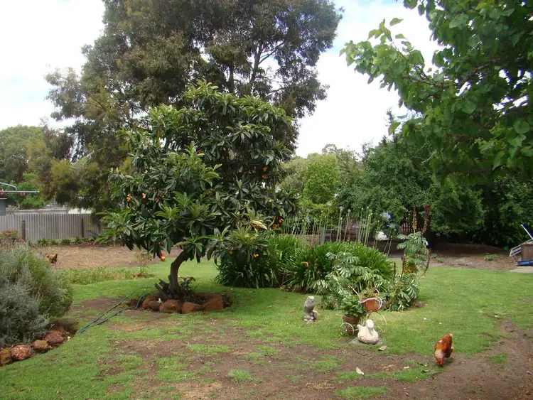 Sixth view of Homely house listing, 19 Jephson Street, Greenbushes WA 6254