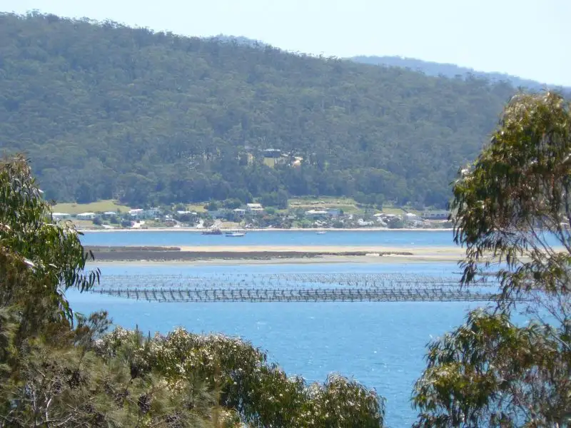 Main view of Homely studio listing, 101 St Helens Point Road, Stieglitz TAS 7216