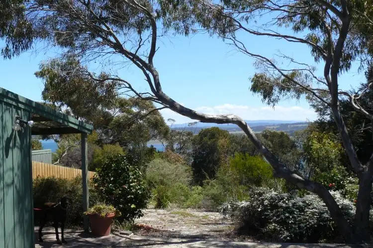 Fifth view of Homely studio listing, 101 St Helens Point Road, Stieglitz TAS 7216