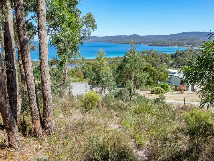 82 Lagoon Road, White Beach TAS 7184