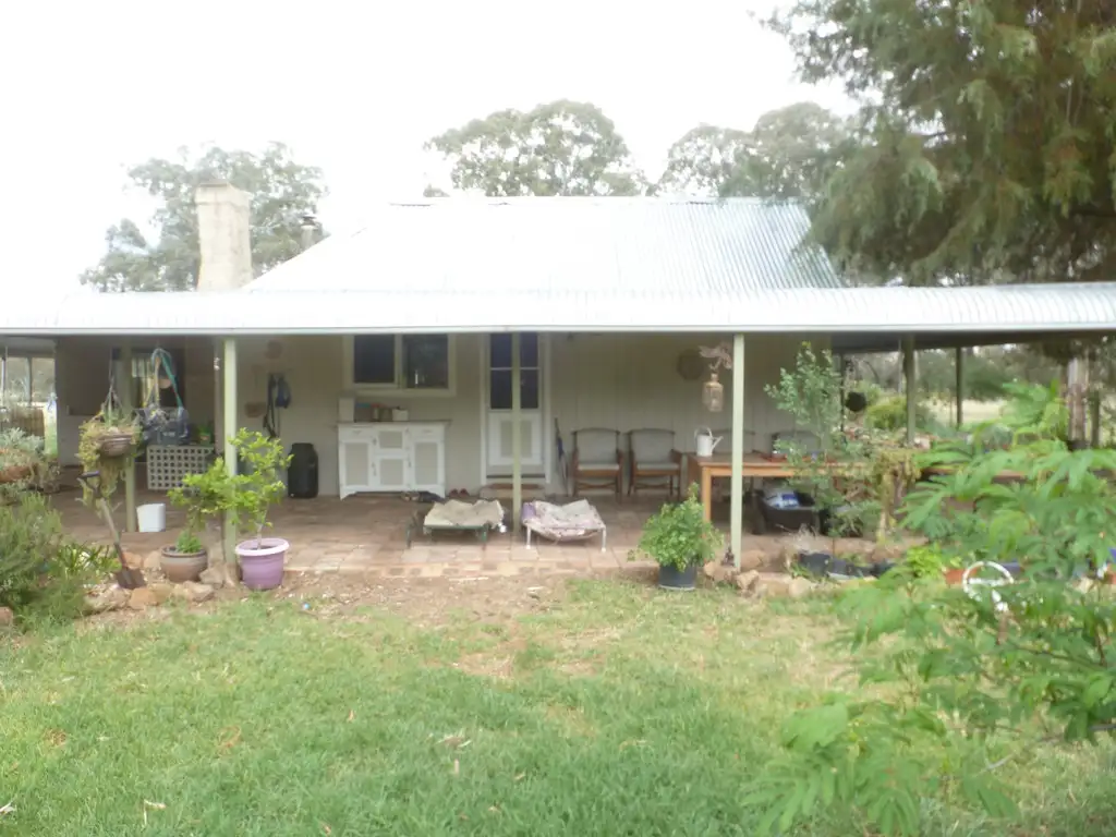 Main view of Homely house listing, 100 Swamp Road, Murringo NSW 2586