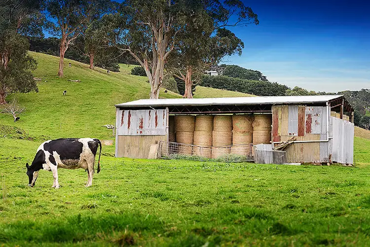 Fourth view of Homely rural property listing, 325 Buchanans Road, Bena VIC 3946