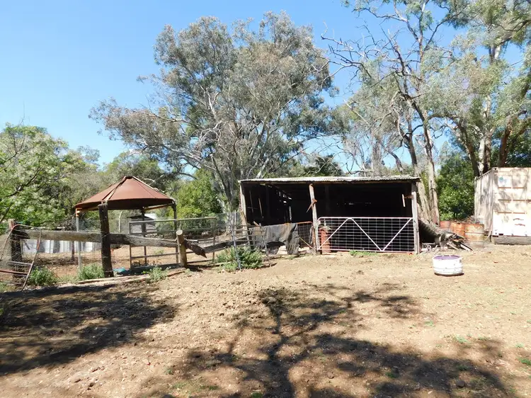 Seventh view of Homely rural property listing, Lot 428 Rifle Range Rd, Coonabarabran NSW 2357