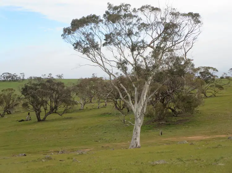 Sixth view of Homely rural property listing, Sec 9115 Bremer Valley and Bondleigh Road, Rockleigh SA 5254