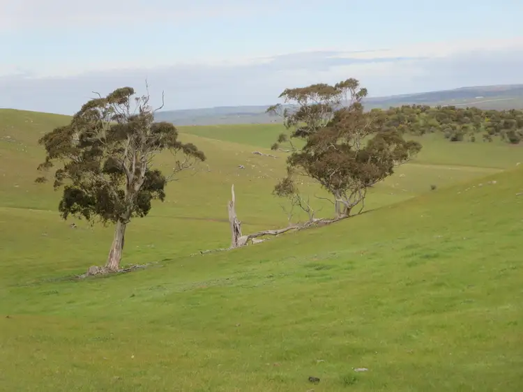 Seventh view of Homely rural property listing, Sec 9115 Bremer Valley and Bondleigh Road, Rockleigh SA 5254