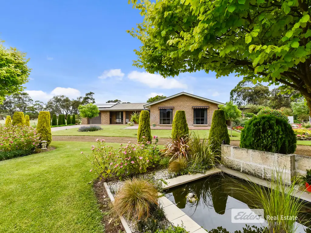 Main view of Homely house listing, 99 Blackwood Road, Millicent SA 5280