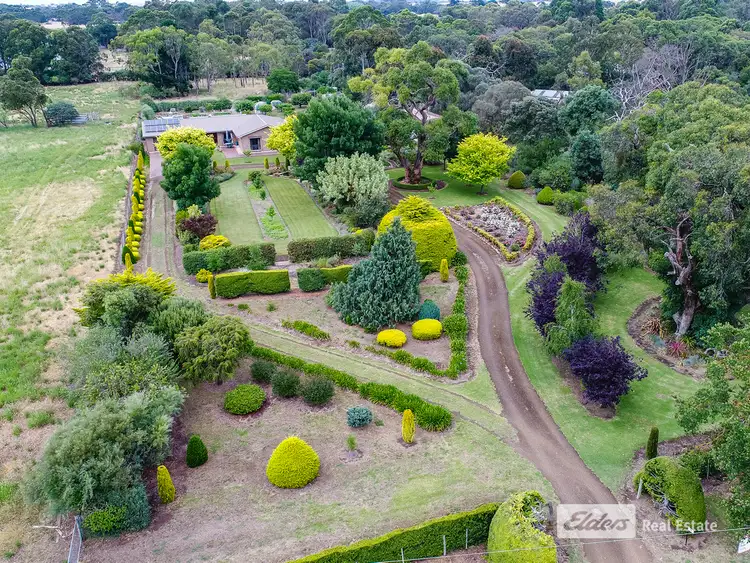 Fifth view of Homely house listing, 99 Blackwood Road, Millicent SA 5280