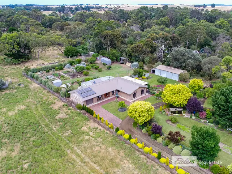 Sixth view of Homely house listing, 99 Blackwood Road, Millicent SA 5280