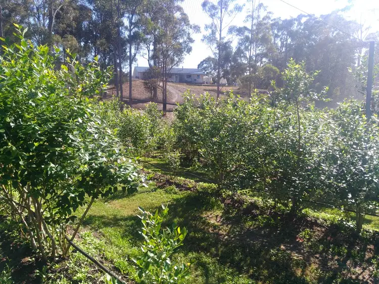 382 Bowens Road, York Town TAS 7270
