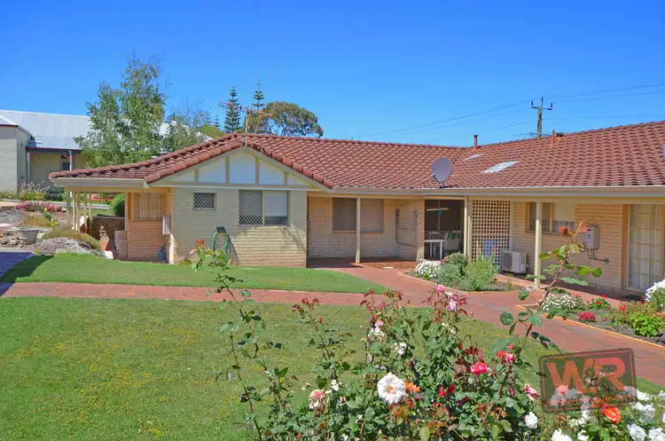 Main view of Homely unit listing, 13/162 Aberdeen Street, Albany WA 6330