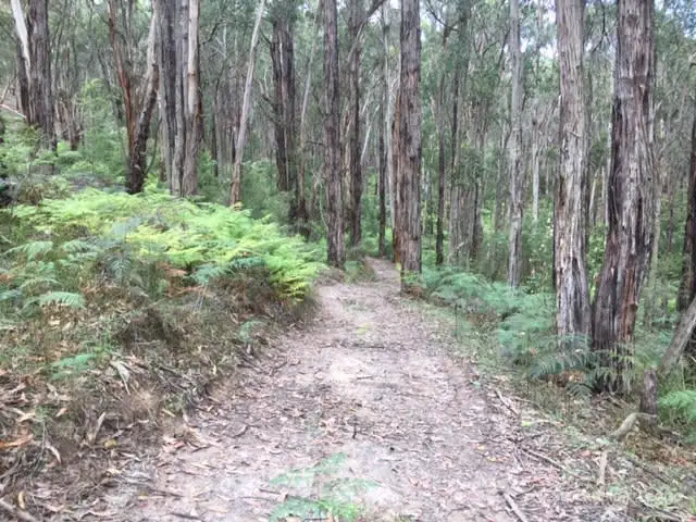 Fourth view of Homely land listing, 215 Milners Road, Launching Place VIC 3139