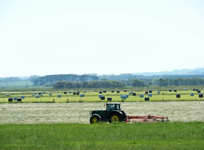 Main view of Homely rural property listing, 245 Spring Dam Road, Terang VIC 3264