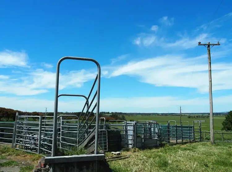 Second view of Homely rural property listing, 245 Spring Dam Road, Terang VIC 3264