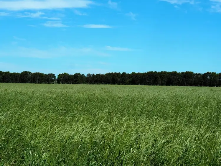 Fourth view of Homely rural property listing, 245 Spring Dam Road, Terang VIC 3264