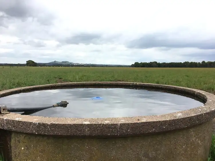 Sixth view of Homely rural property listing, 245 Spring Dam Road, Terang VIC 3264