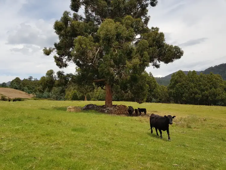 Second view of Homely land listing, 38 Coopers Road, Ellendale TAS 7140