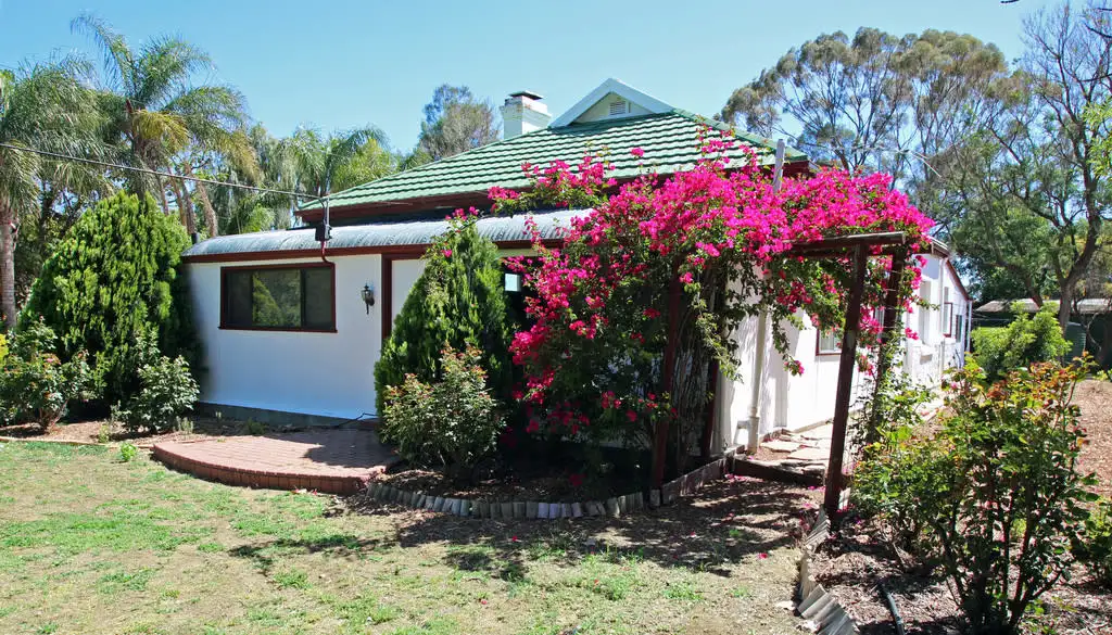 Main view of Homely house listing, 81 Twenty Second Street, Renmark SA 5341