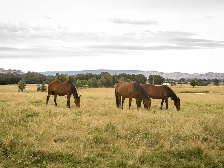 Second view of Homely rural property listing, 6877 MAROONDAH HIGHWAY, Yarck VIC 3719