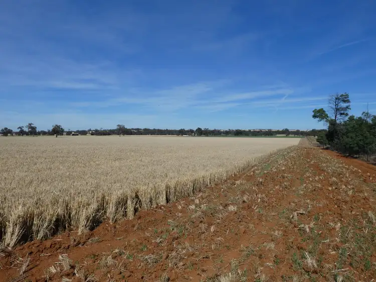 Third view of Homely rural property listing, 254 Wyoming Lane OLD JUNEE VIA, Wagga Wagga NSW 2650