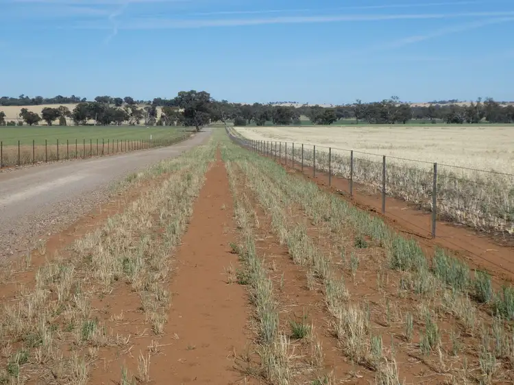 Fourth view of Homely rural property listing, 254 Wyoming Lane OLD JUNEE VIA, Wagga Wagga NSW 2650