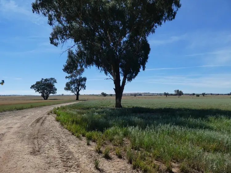 Fifth view of Homely rural property listing, 254 Wyoming Lane OLD JUNEE VIA, Wagga Wagga NSW 2650