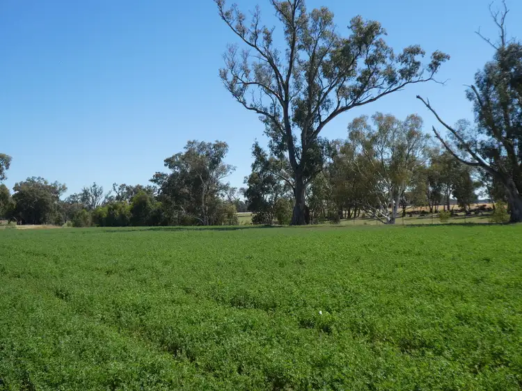 Sixth view of Homely rural property listing, 254 Wyoming Lane OLD JUNEE VIA, Wagga Wagga NSW 2650