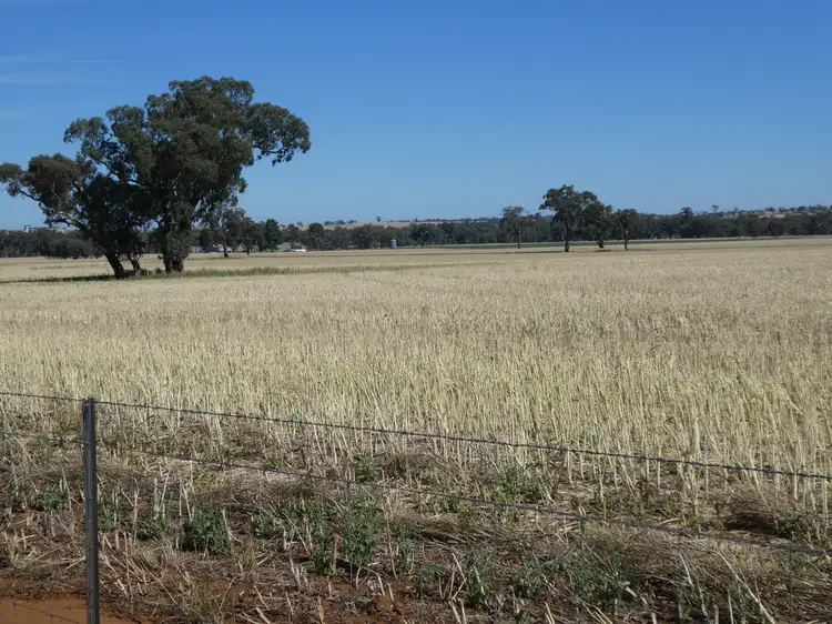 Seventh view of Homely rural property listing, 254 Wyoming Lane OLD JUNEE VIA, Wagga Wagga NSW 2650