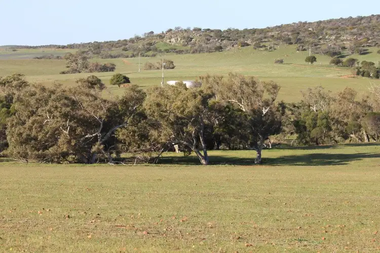 Lot 1002 Isseka Road East, Bowes WA 6535