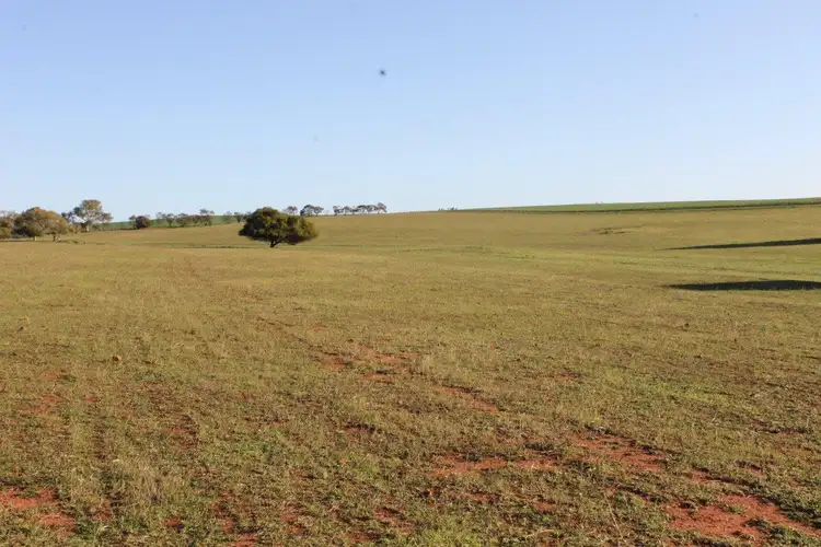 Sixth view of Homely rural property listing, Lot 1002 Isseka Road East, Bowes WA 6535