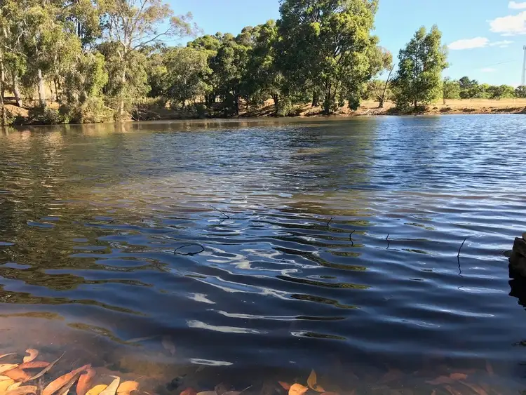 Third view of Homely rural property listing, 137 Del Park Road, North Dandalup WA 6207