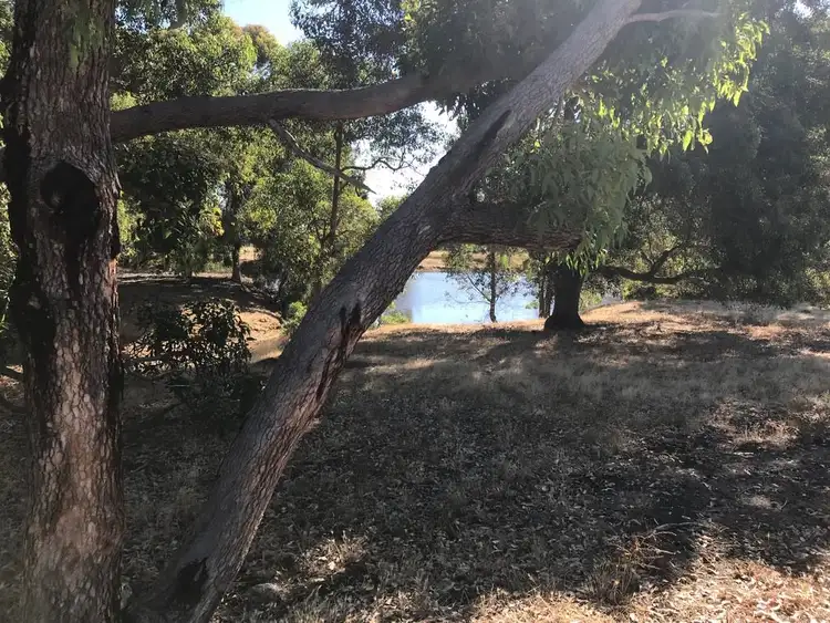 Sixth view of Homely rural property listing, 137 Del Park Road, North Dandalup WA 6207