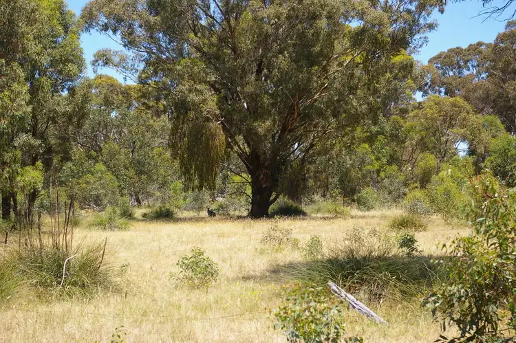 Third view of Homely rural property listing, 531 Shilcocks Rd, Mooralla VIC 3314