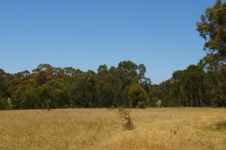 Sixth view of Homely rural property listing, 531 Shilcocks Rd, Mooralla VIC 3314